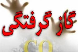 کاهش آمار معاینات اجساد ناشی از گازگرفتگی در 3 ماهه نخست امسال