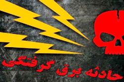 تلفات حوادث ناشی از برق گرفتگی در5 ماهه نخست سال جاری استان لرستان